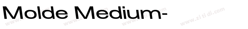 Molde Medium字体转换